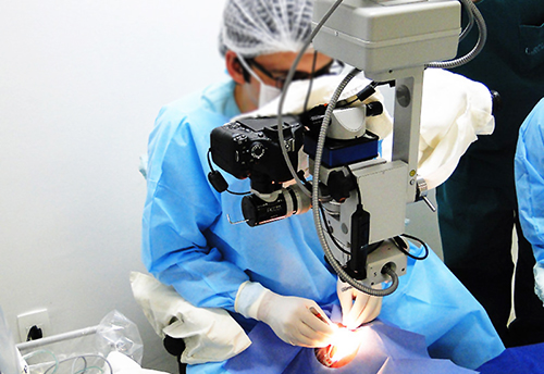Cirurgias fistulizantes com ou sem implantes valvulares